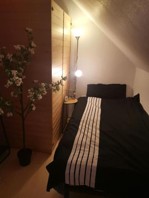 Wohnung Am Kurpark Mit Privater Innensauna & Led! Schluesselbox Boppard Kültér fotó